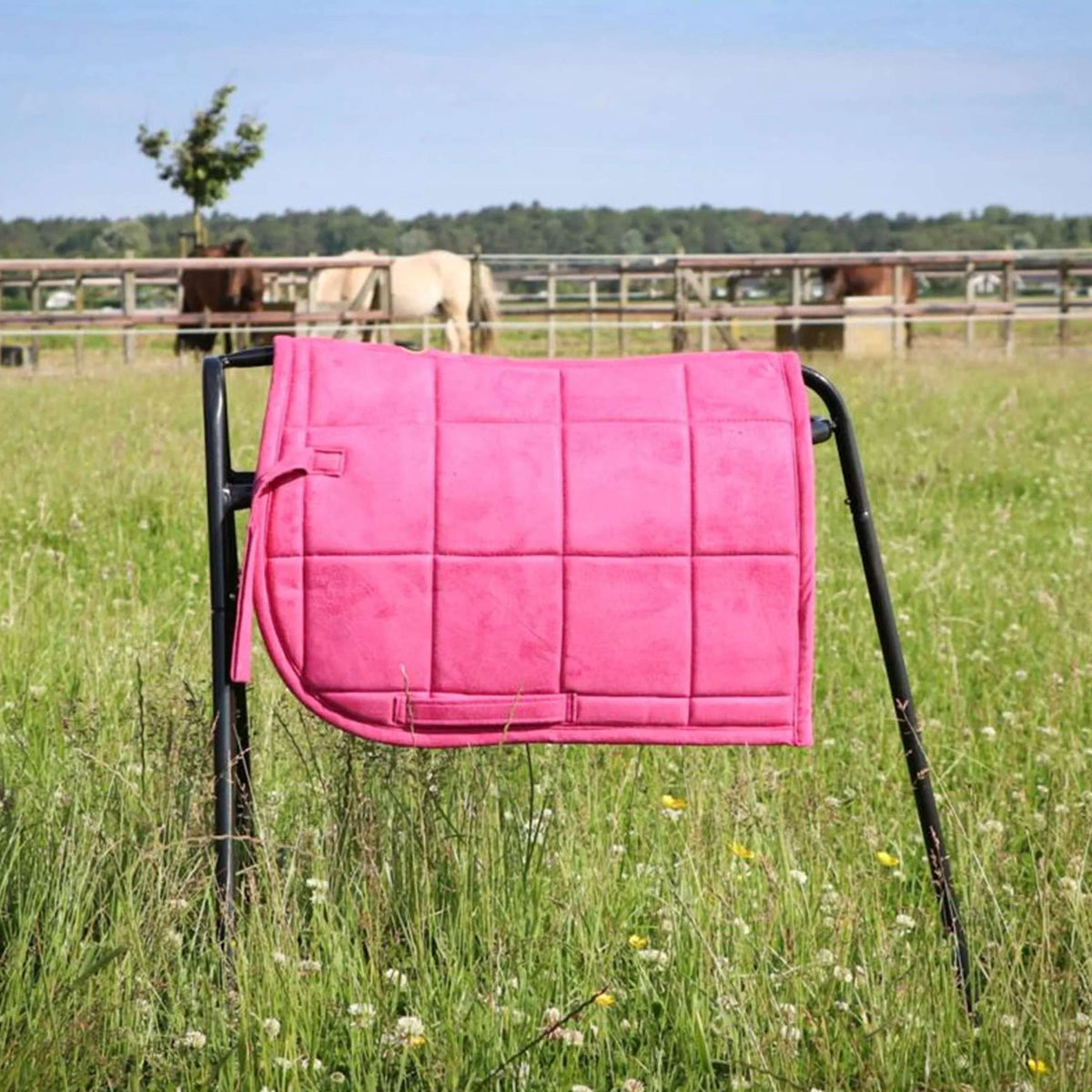 HB Zadeldekje Shetland Roze