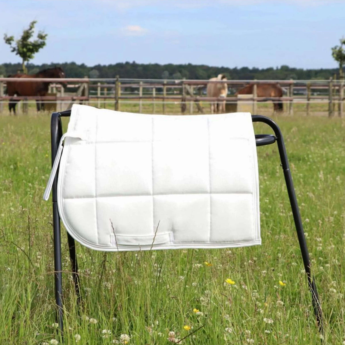 HB Zadeldekje Shetland Wit