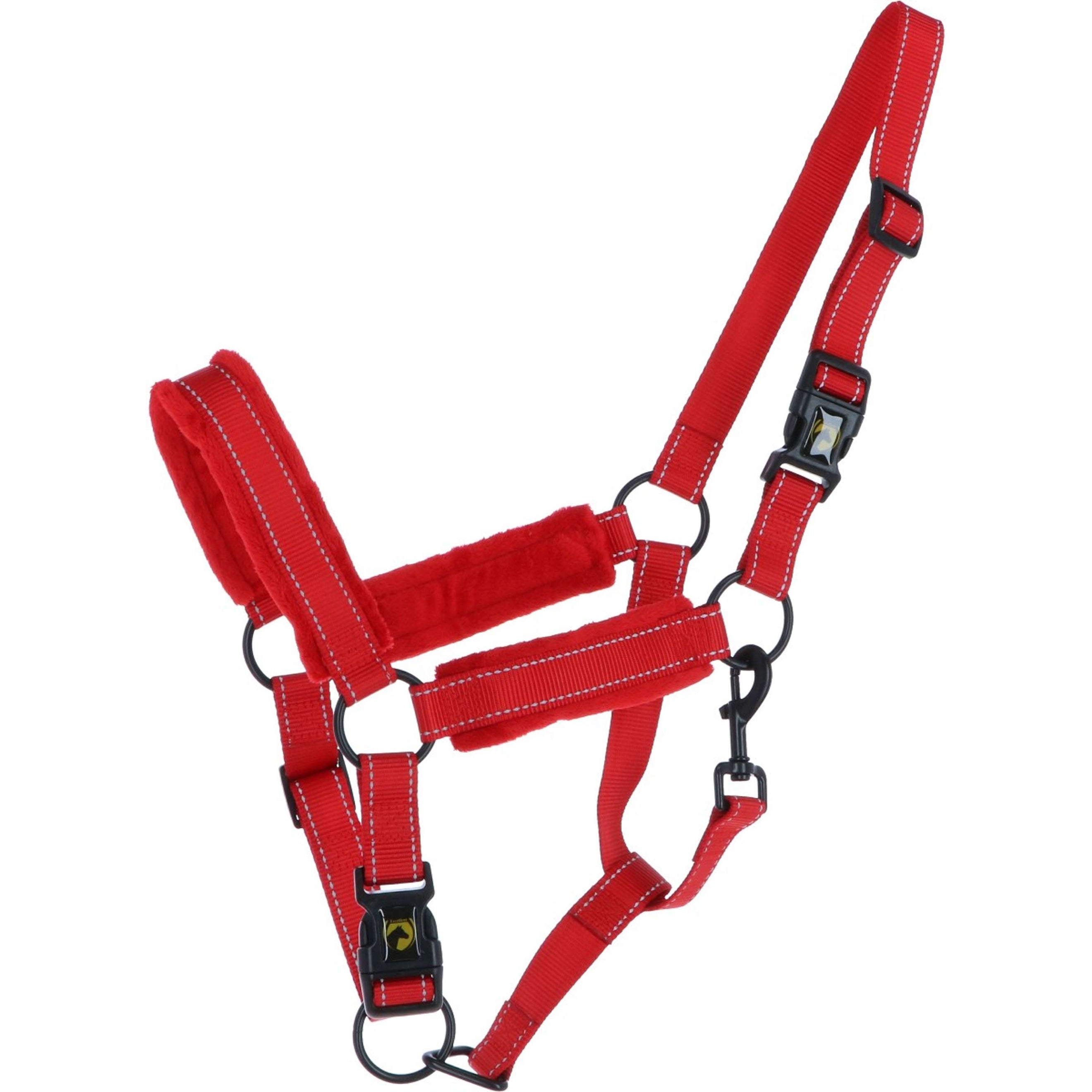 Excellent Halster Superior Rood