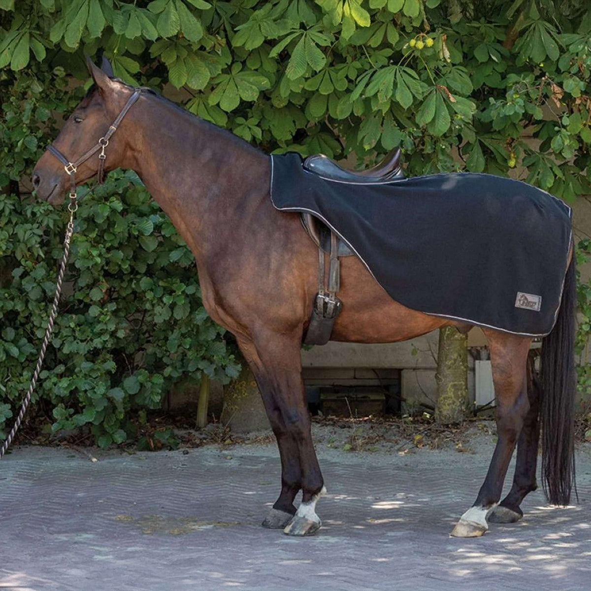 Harry's Horse Uitrijdeken Fleece Zwart
