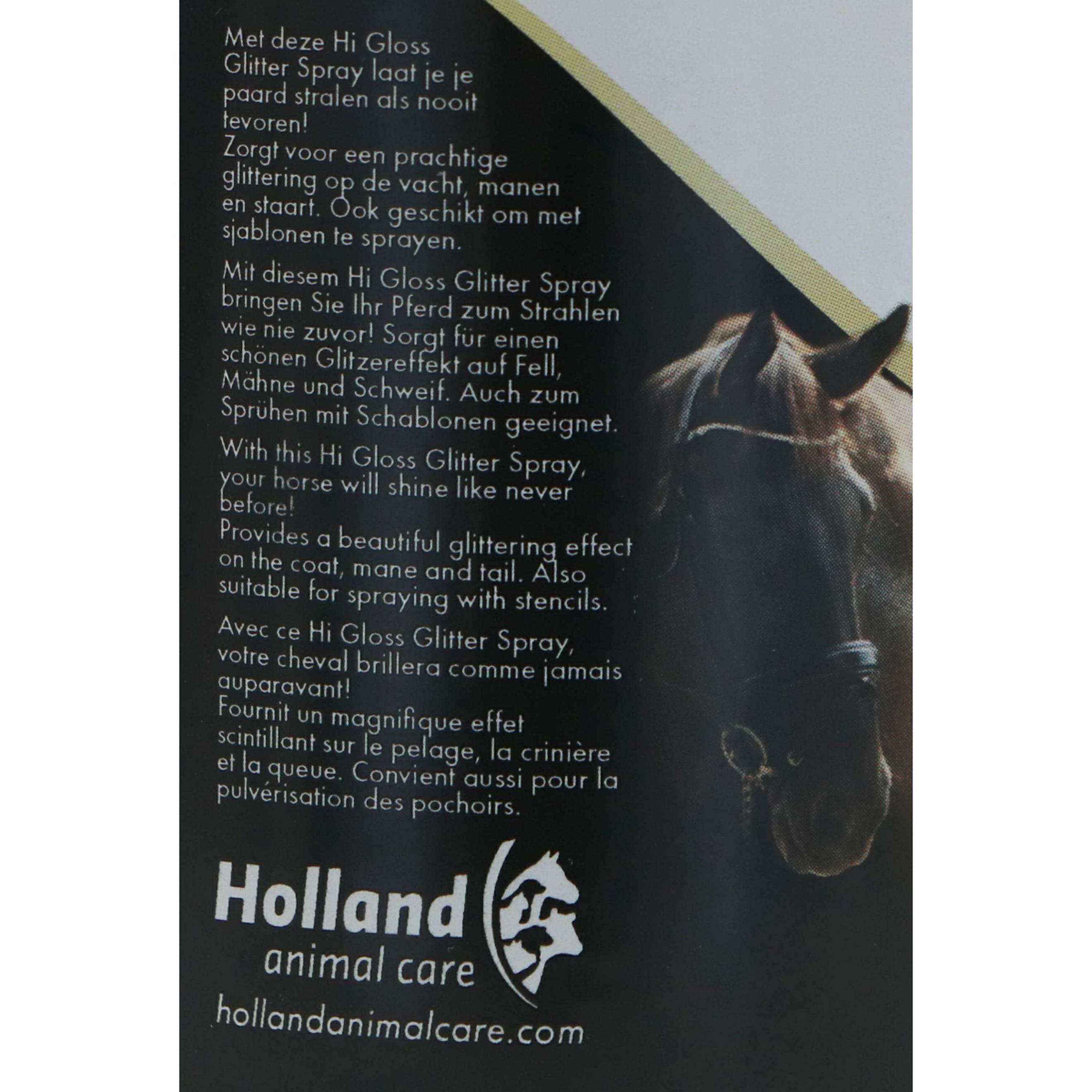 Excellent Glitter Spray Hi Gloss Zilver Excellent Glitter Spray Hi Gloss Zilver