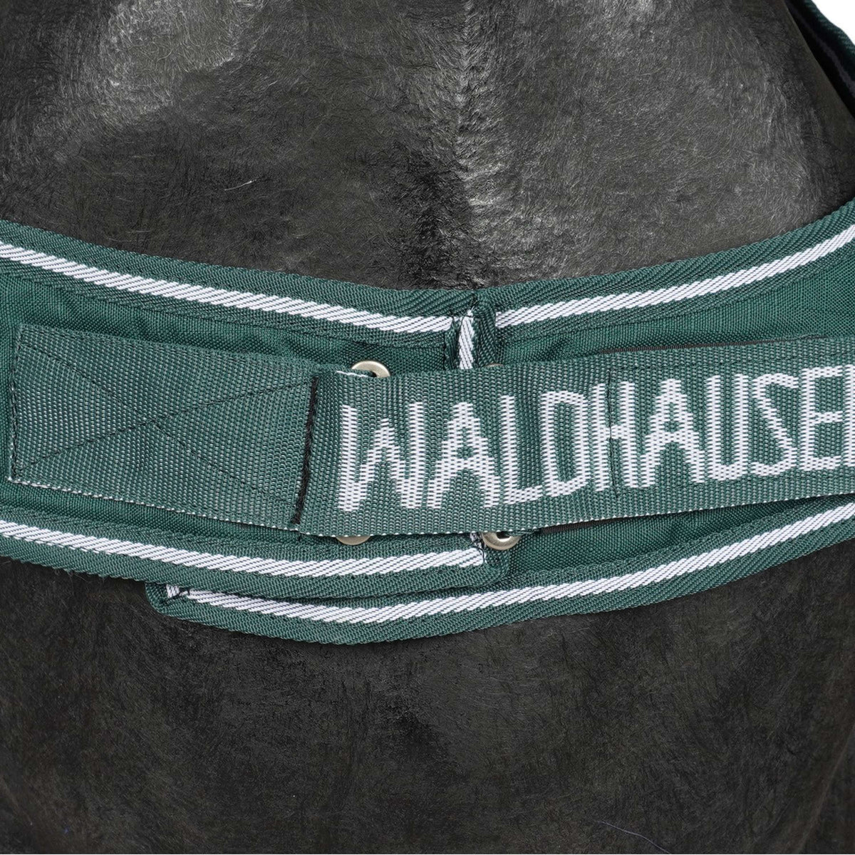 Waldhausen Stapmolendeken 100g Fir Green