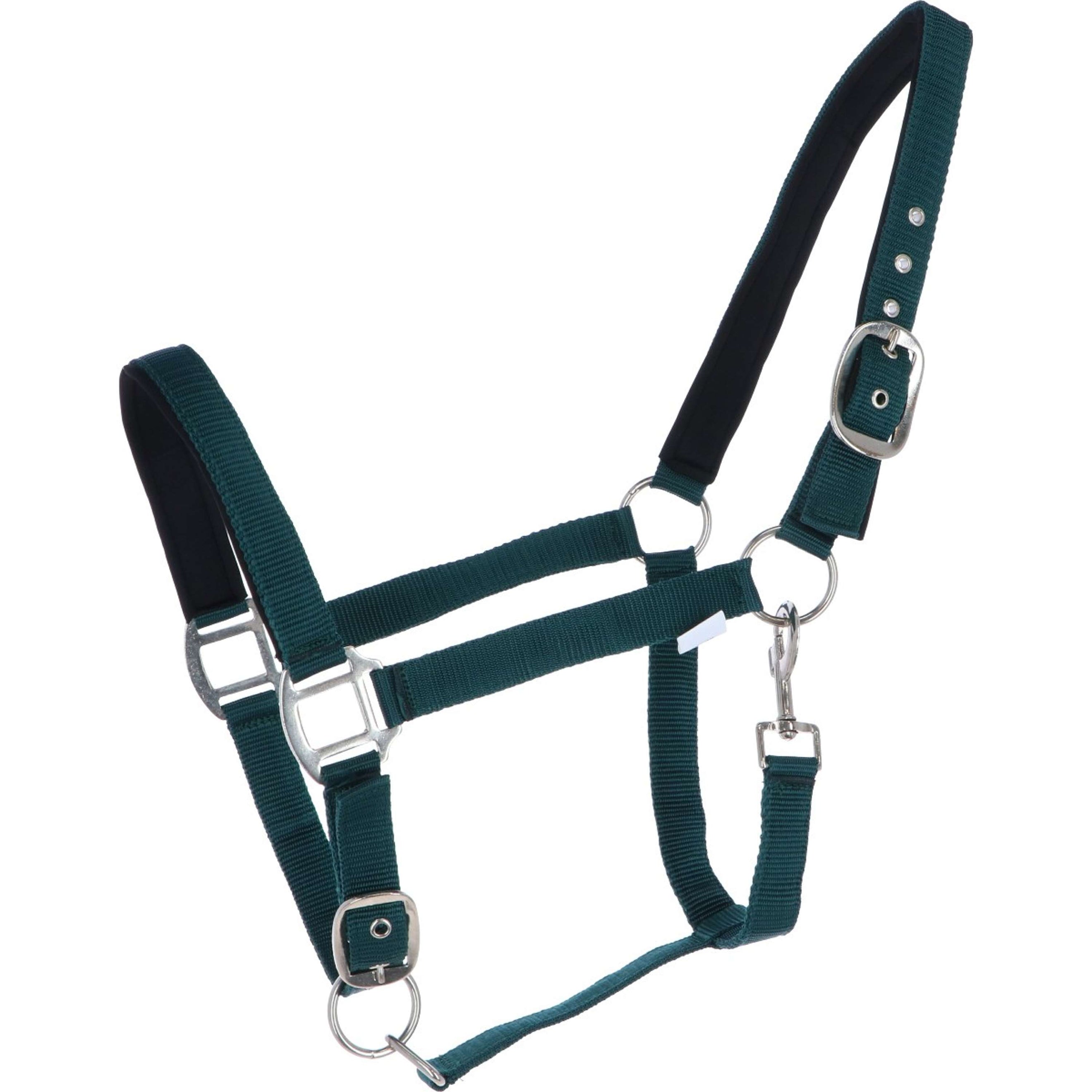 HKM Halster Charming Zacht Onderlegd Hunting Green HKM Halster Charming Zacht Onderlegd Hunting Green