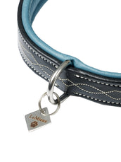 LeMieux Halsband Windsor Padded Zwart/Blauw