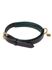 LeMieux Halsband Windsor Padded Bruin/Hunter