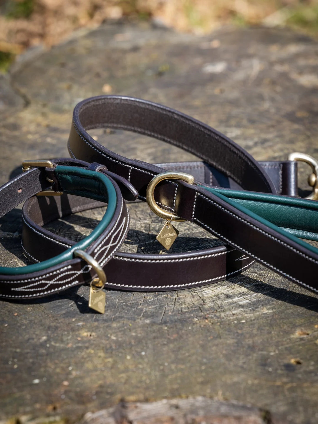 LeMieux Halsband Windsor Padded Bruin/Hunter