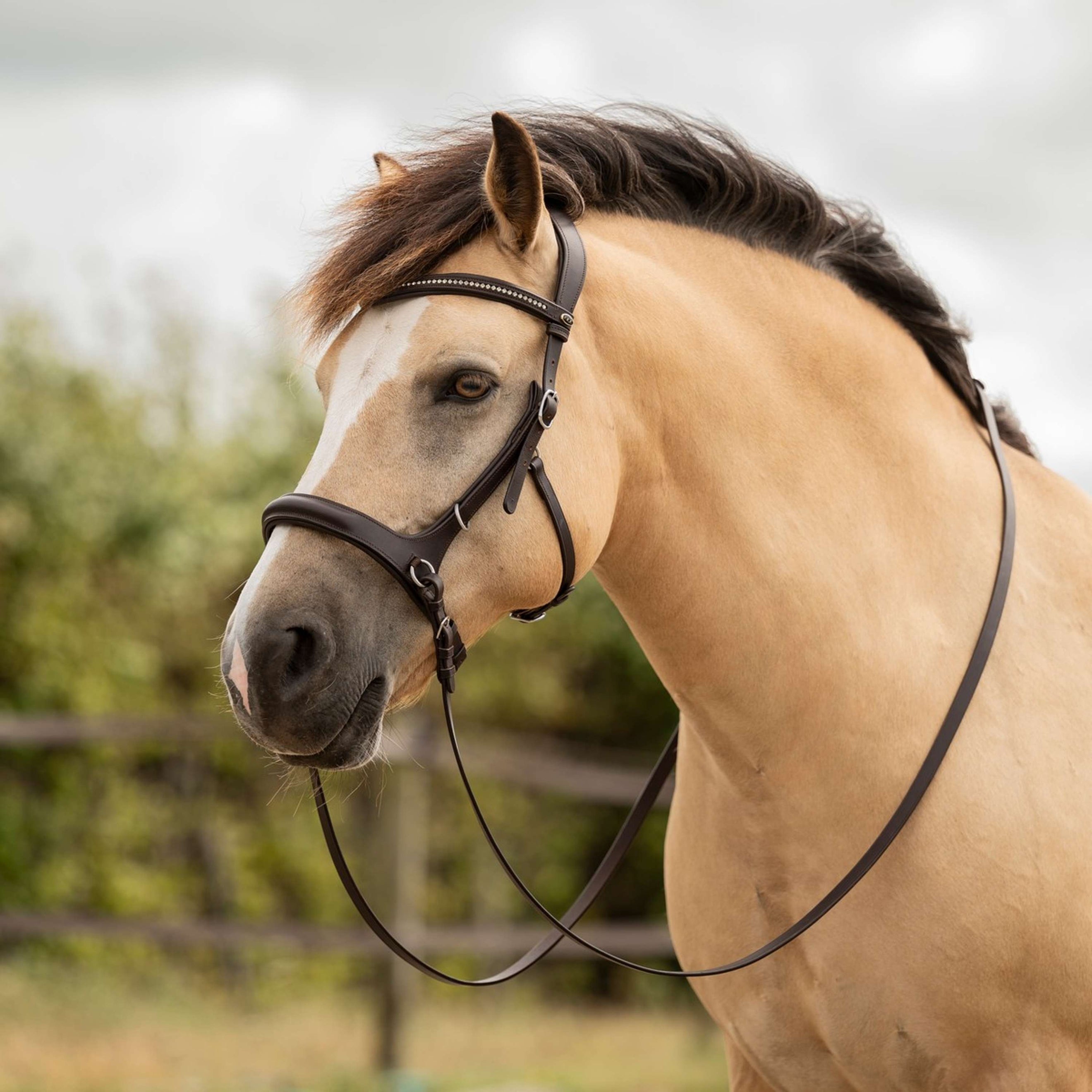 F.R.A. Hoofdstel Runa 3 in 1 Havana F.R.A. Hoofdstel Runa 3 in 1 Havana