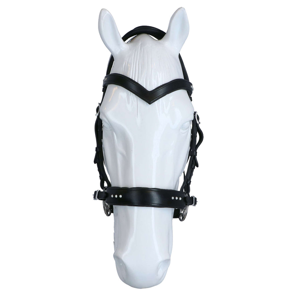 F.R.A Hoofdstel Glory Hackamore Leder met Kralen Zwart