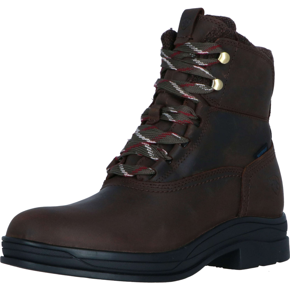 Ariat Stalschoenen Harper Waterproof Dames Chocolat/Willow