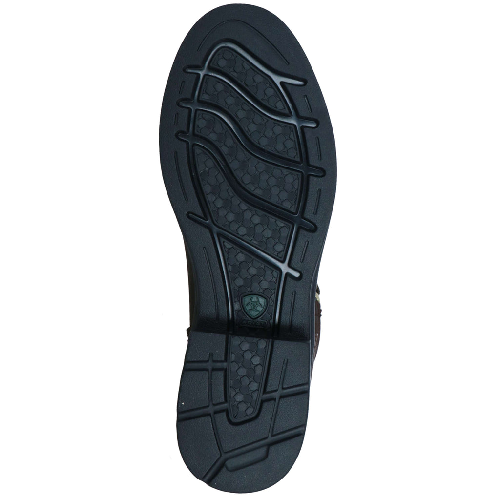 Ariat Stalschoenen Harper Waterproof Dames Chocolat/Willow