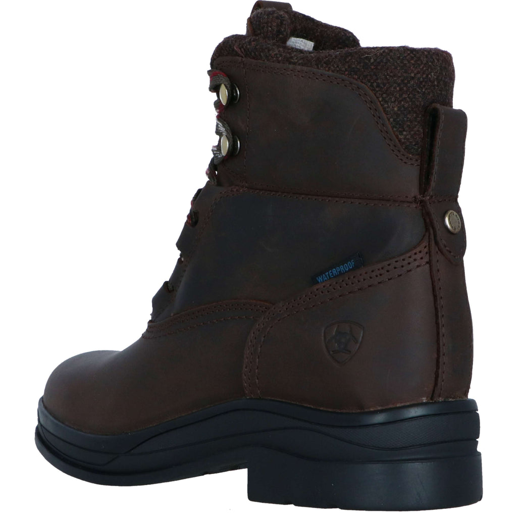 Ariat Stalschoenen Harper Waterproof Dames Chocolat/Willow