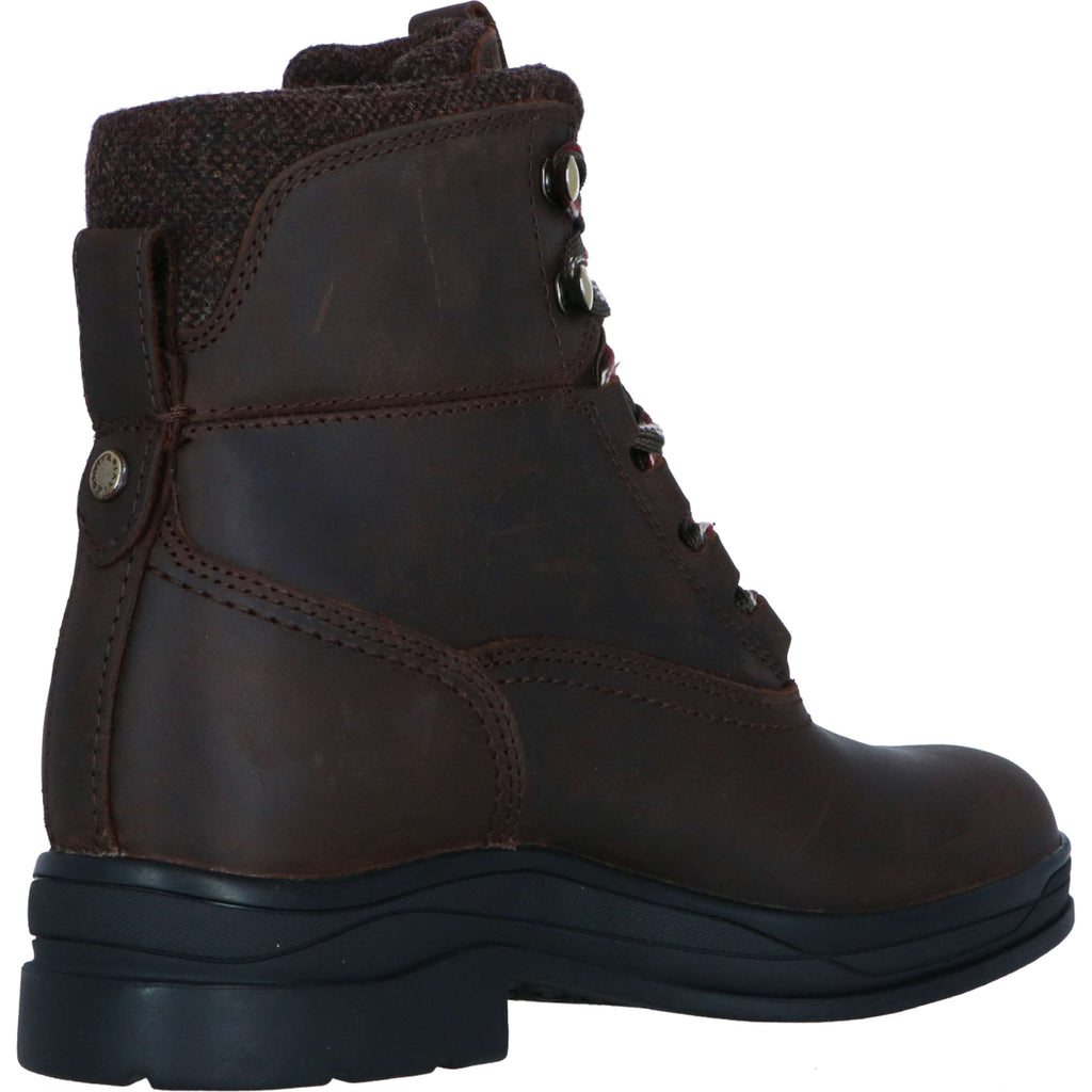 Ariat Stalschoenen Harper Waterproof Dames Chocolat/Willow