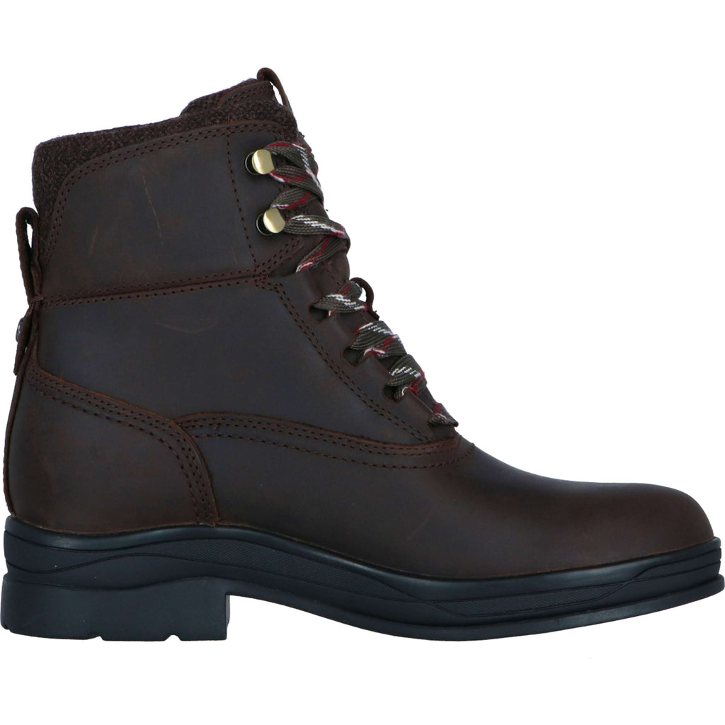 Ariat Stalschoenen Harper Waterproof Dames Chocolat/Willow
