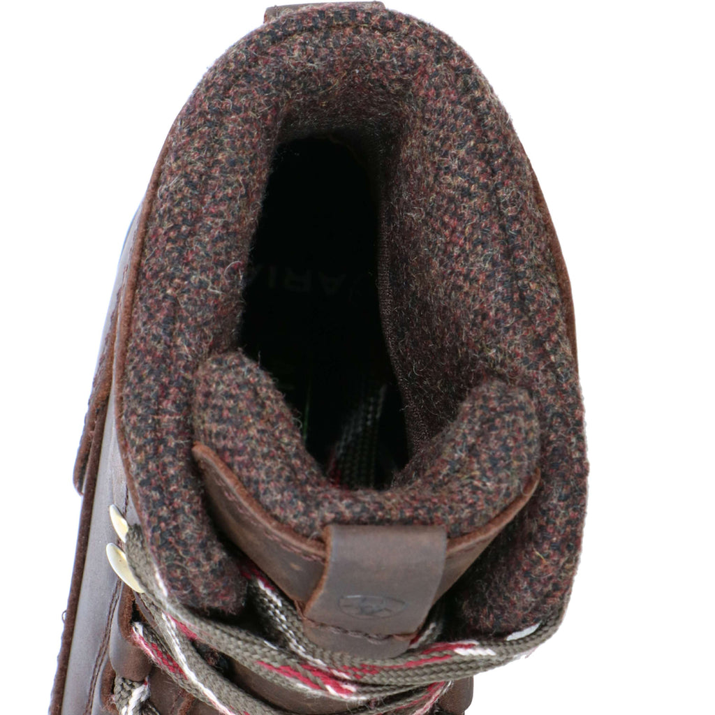 Ariat Stalschoenen Harper Waterproof Dames Chocolat/Willow