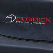 Dominick Dekentas Navy