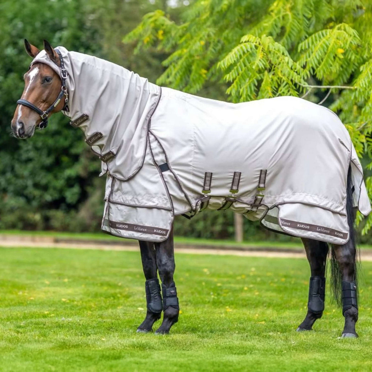 LeMieux Eczeemdeken Kudos Sweet Itch Stone