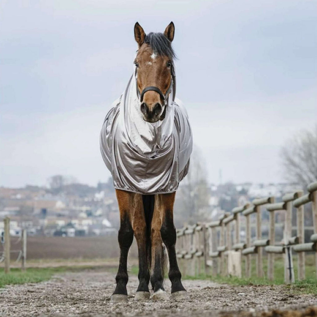 Riding World Eczeemdeken Grijs