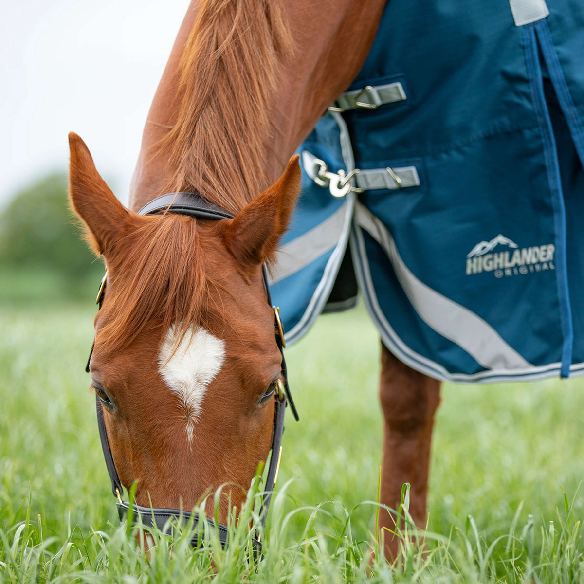 Shires Regendeken Original 50 Turnout met Hals Oceaan