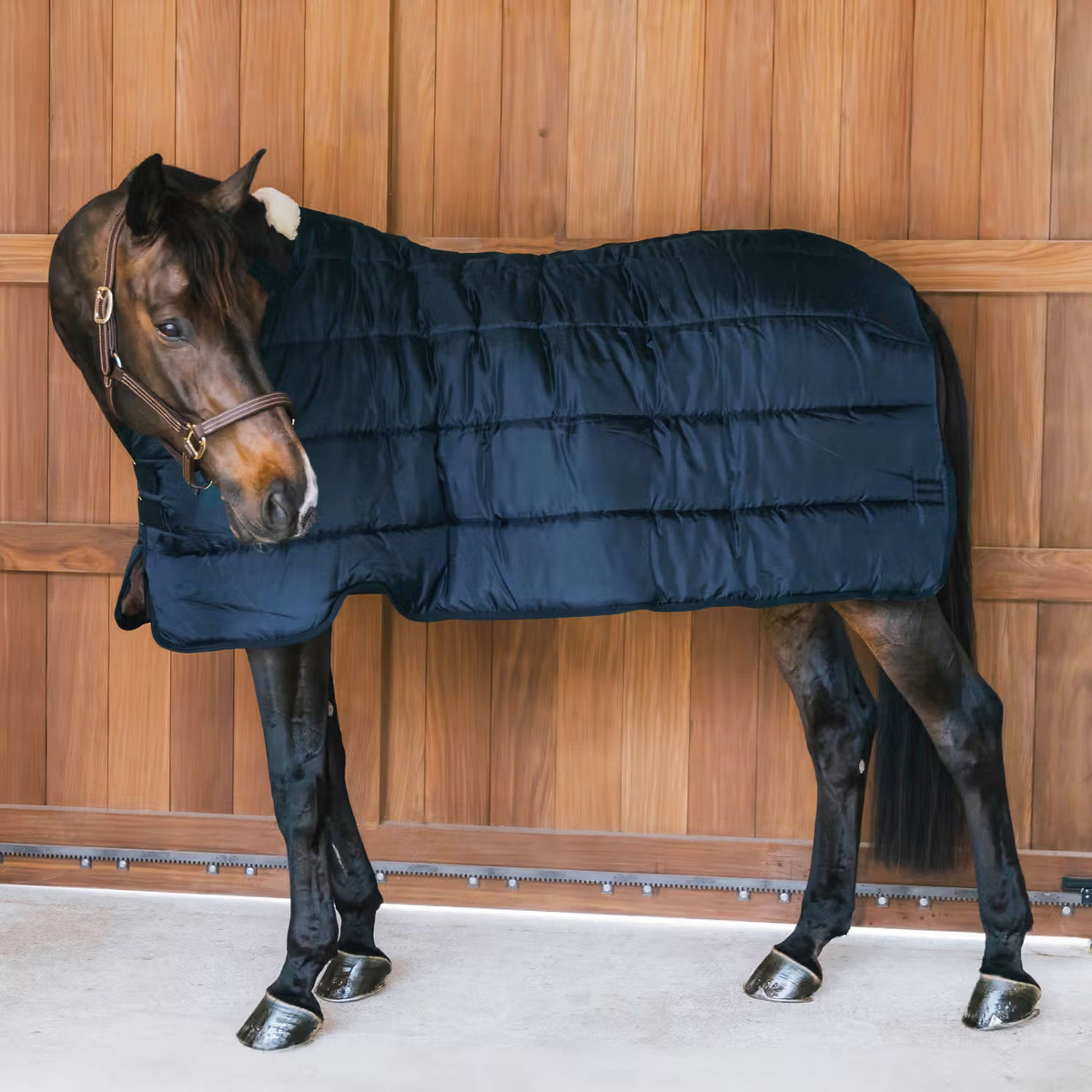 Kentucky Turnout Rug Comfort Liner Pro 100g Navy