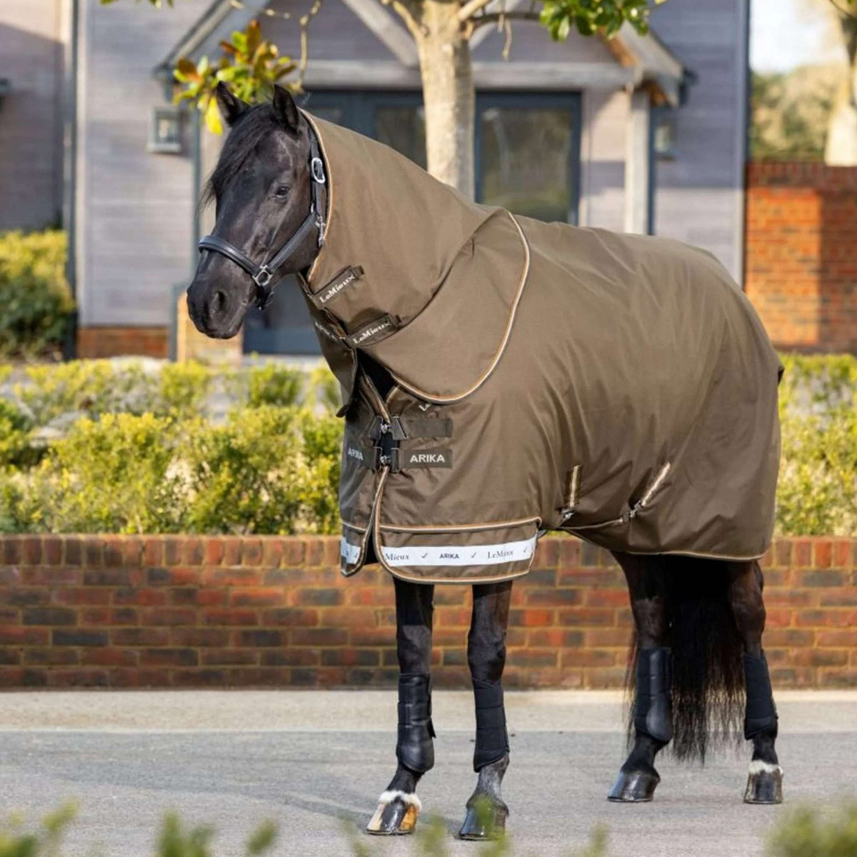 LeMieux Outdoordeken Arika 600D 0g Alpine