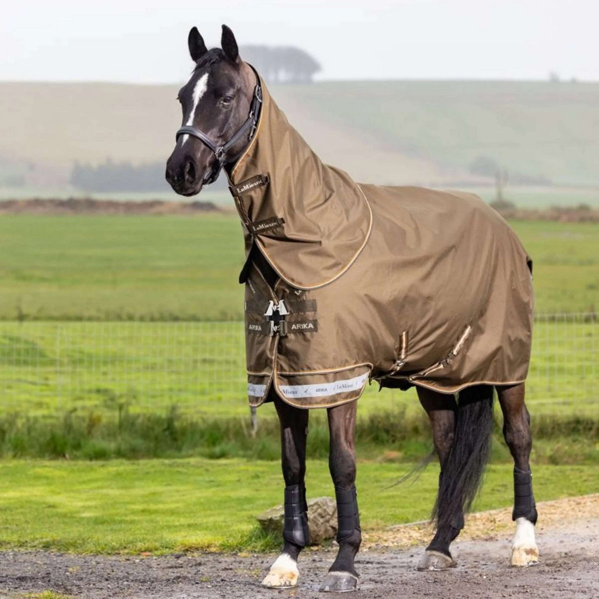 LeMieux Outdoordeken Arika 600D 0g Alpine