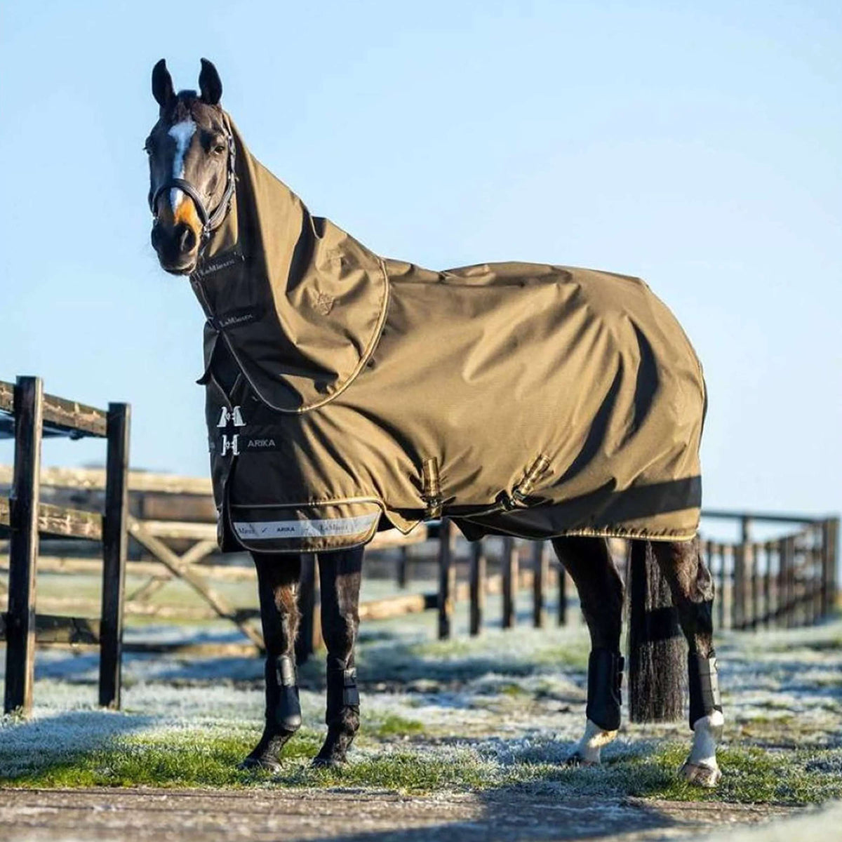 LeMieux Outdoordeken Arika 600D 100g Alpine