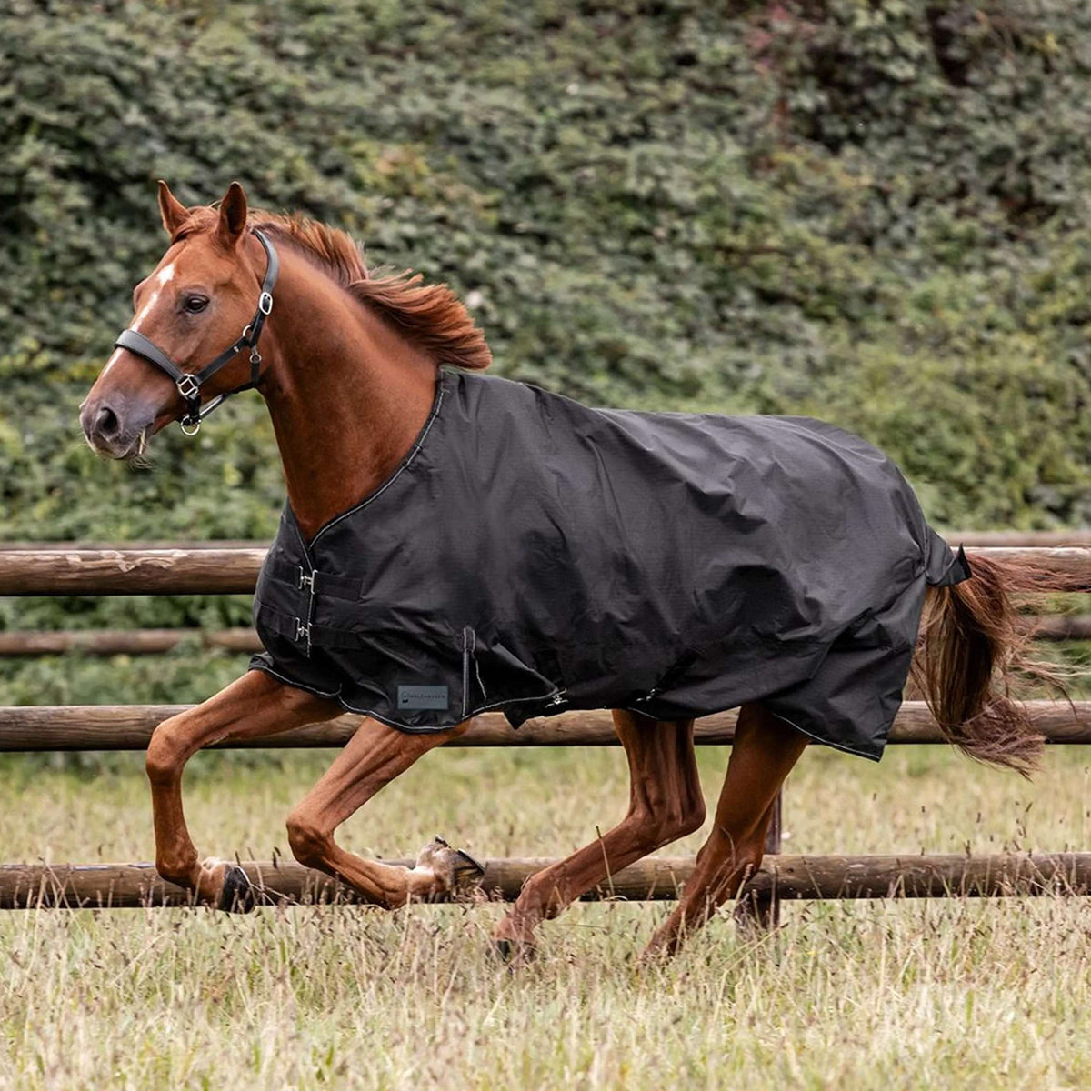 Waldhausen Outdoordeken Nordic 50g Zwart