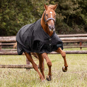 Waldhausen Outdoordeken Nordic 50g Zwart