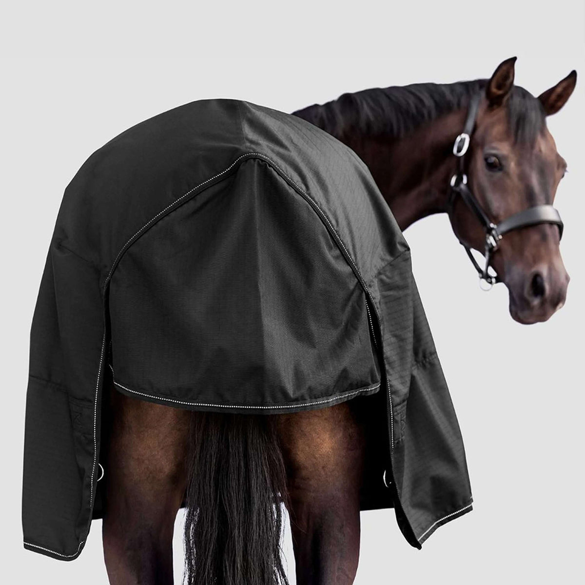 Waldhausen Outdoordeken Nordic 50g Zwart