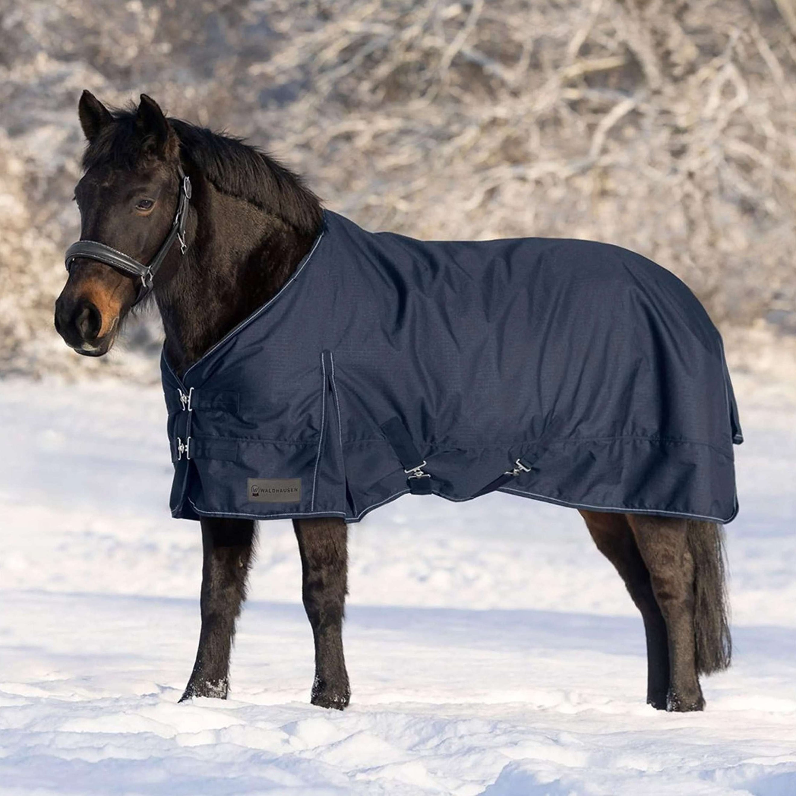 Waldhausen Outdoordeken Nordic 50g Nachtblauw