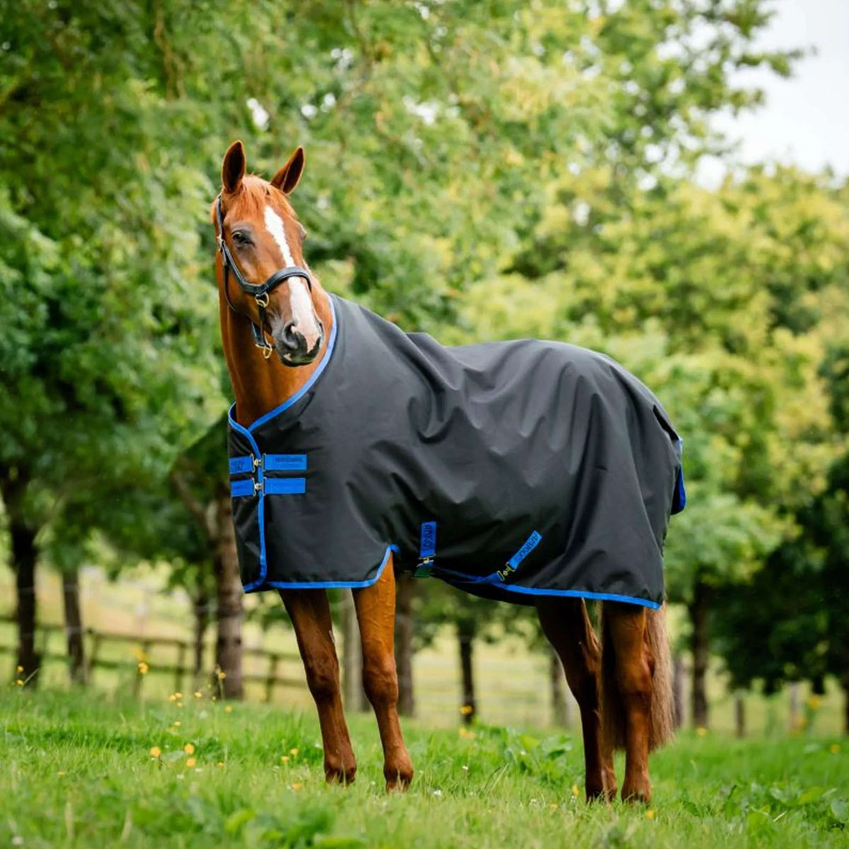 Amigo Ripstop 900D 50g Fleece Lined Zwart/Blauw