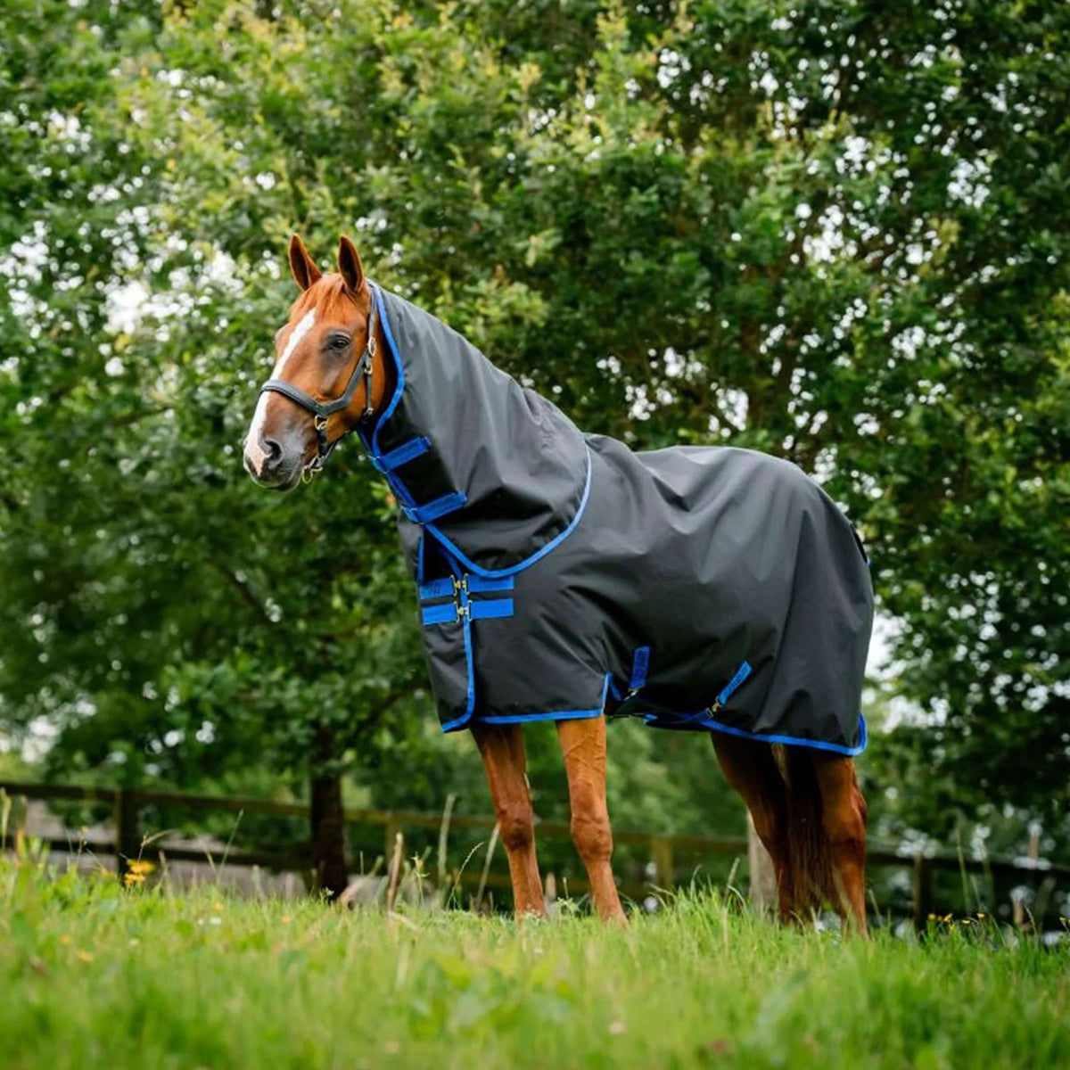 Amigo Ripstop 900D Plus 0g Zwart/Blauw