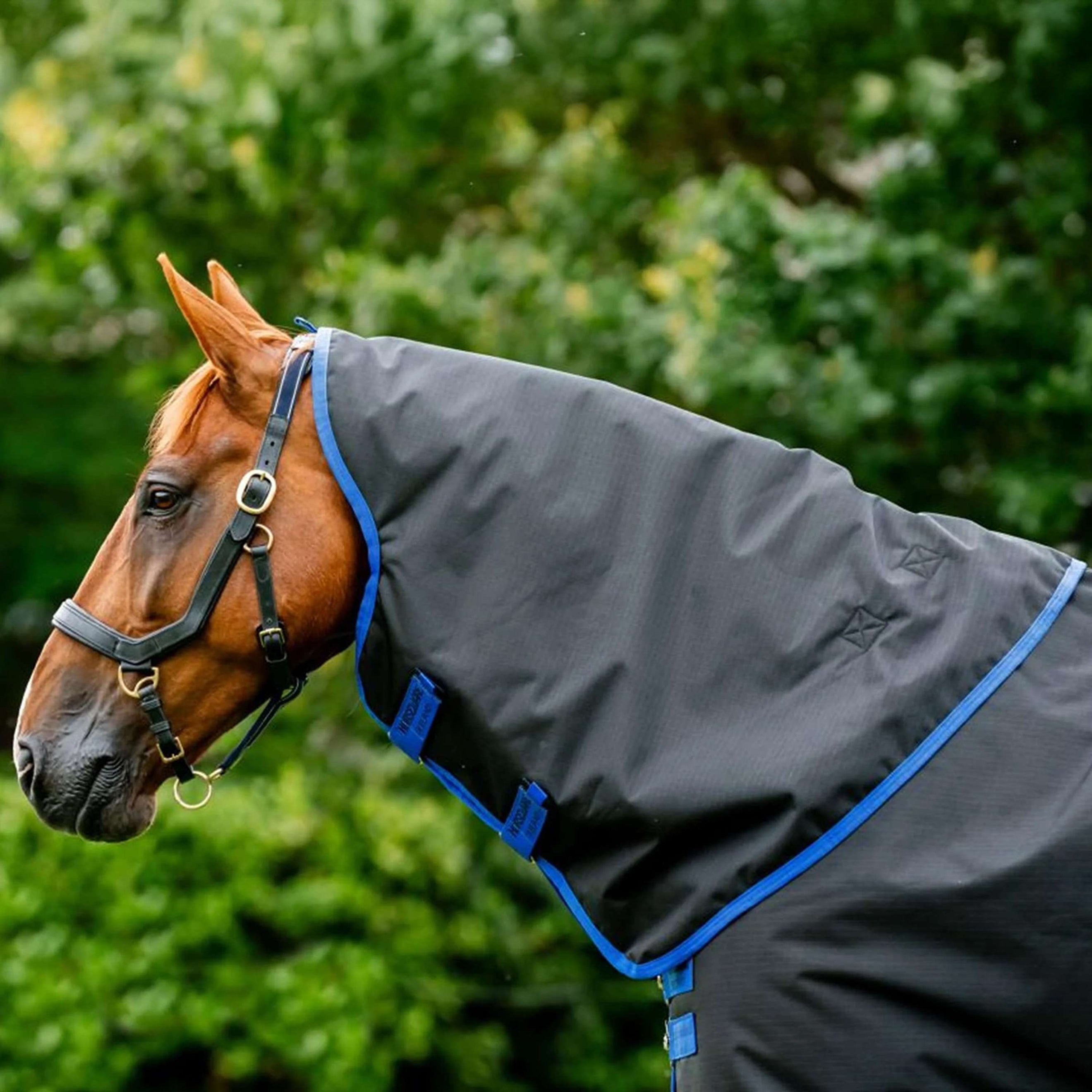 Amigo Halsstuk Ripstop 900D 0g Zwart/Blauw