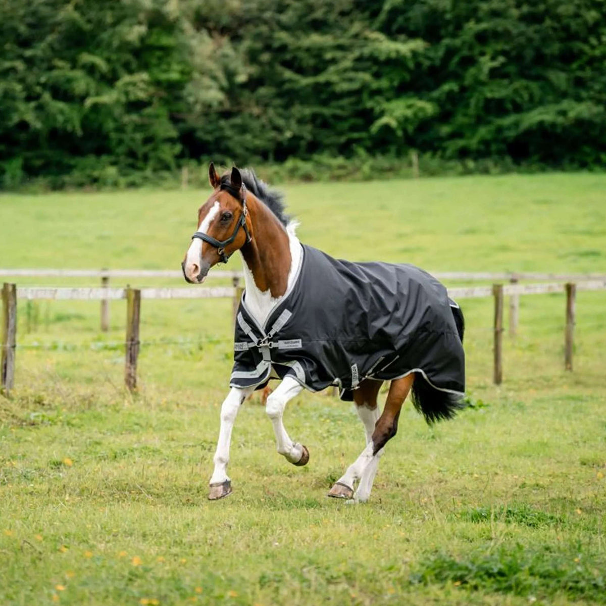 Amigo Turnout Bravo 100g Black/Titanium Grey