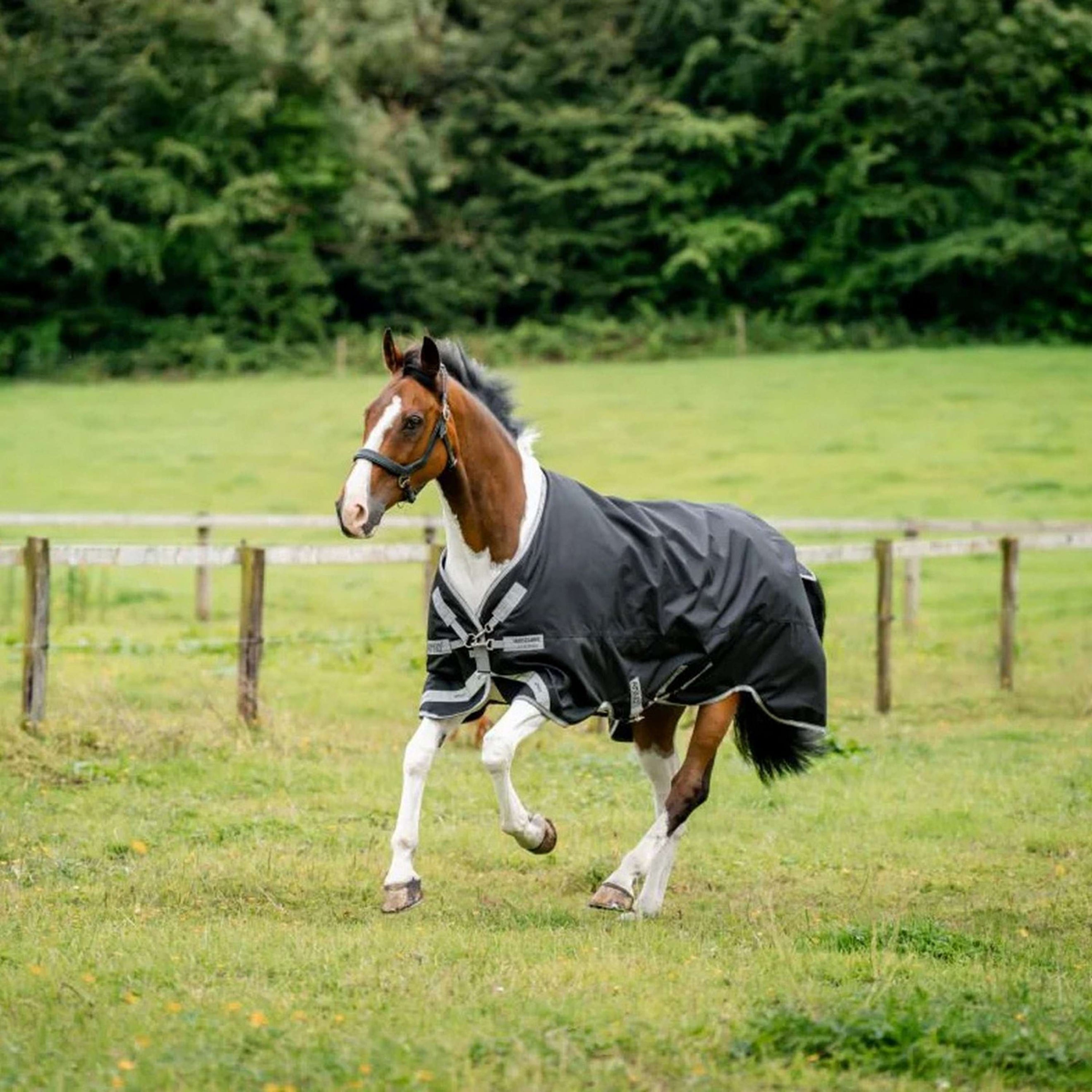 Amigo Bravo 12XL Original Turnout Lite 0g Black/Titanium Grey