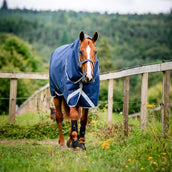 Amigo Bravo 12 Plus T/O Lite 0g Navy/Titanium Grey