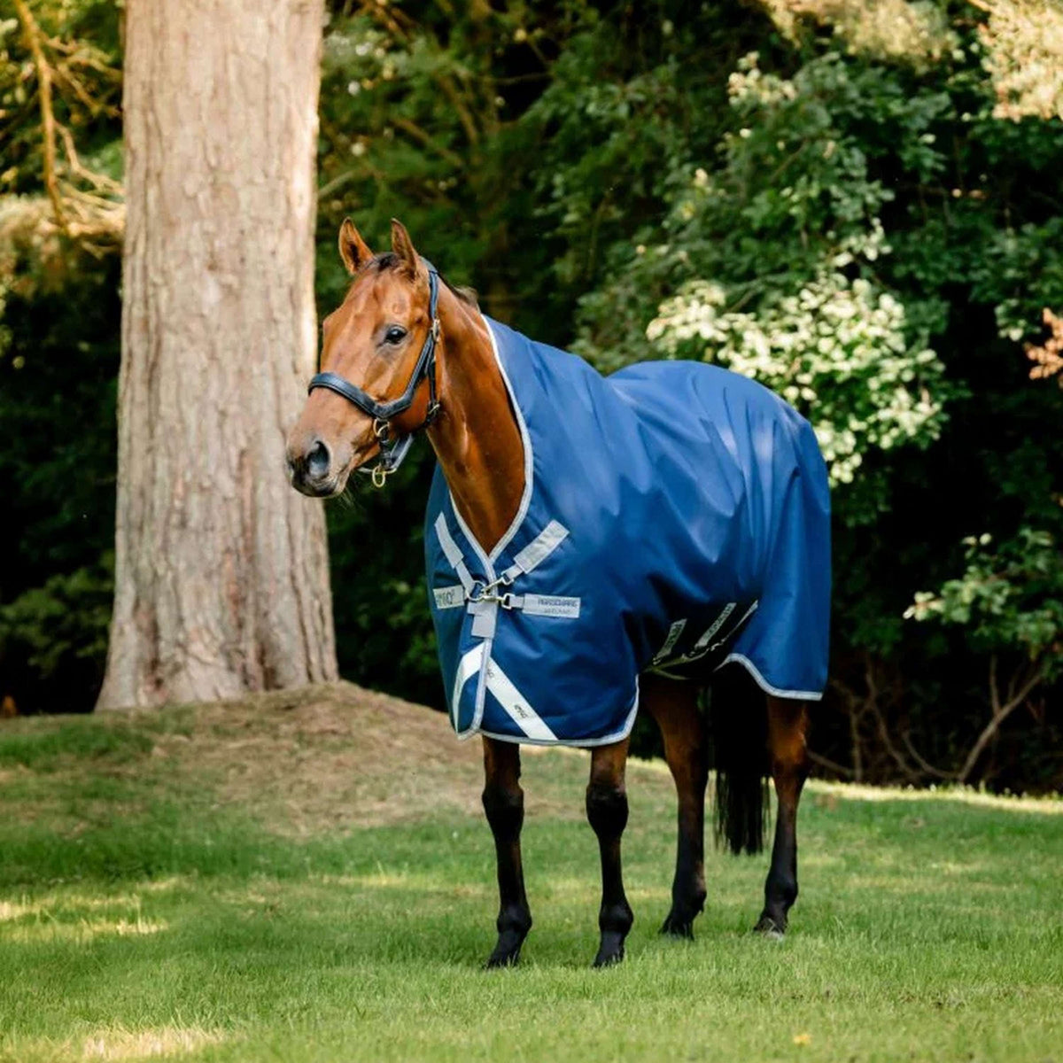 Amigo Bravo 12 Wug Lite 0g Navy/Titanium Grey