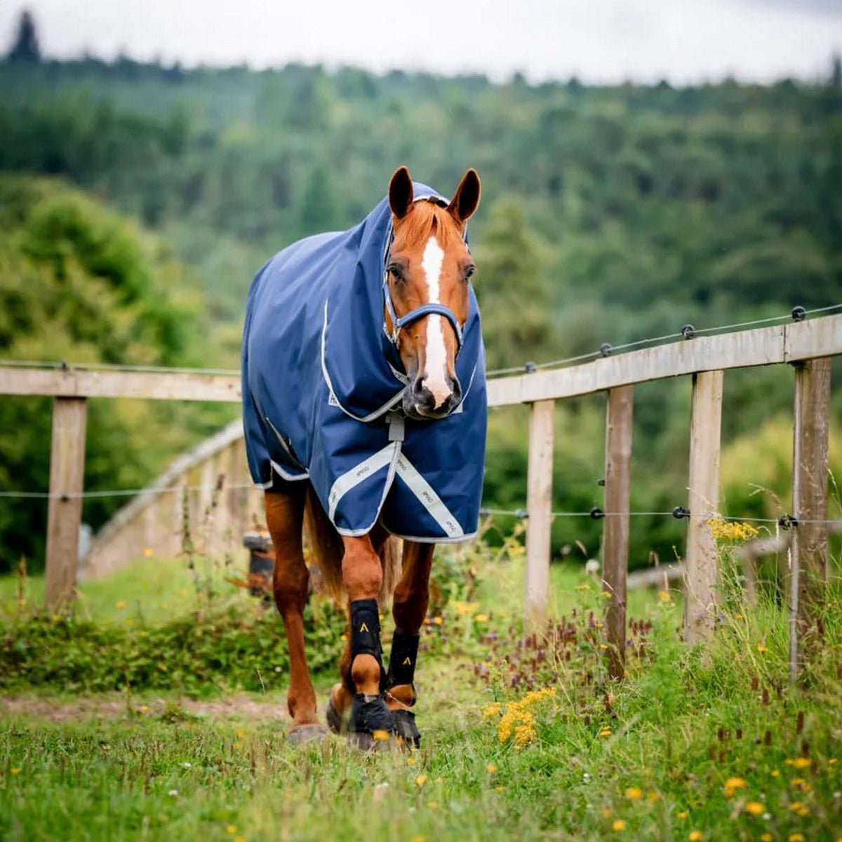 Amigo Bravo 12 Plus Bundle 50g Navy/Titanium Grey