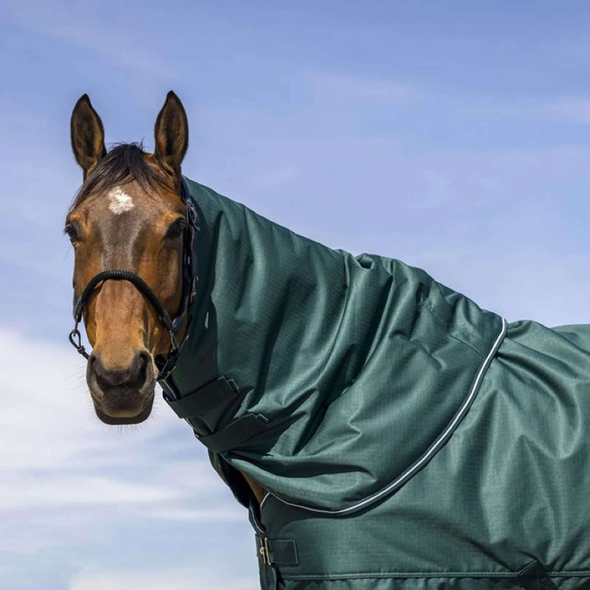 EQUITHÈME Halsstuk Tyrex 600D 0g Groen