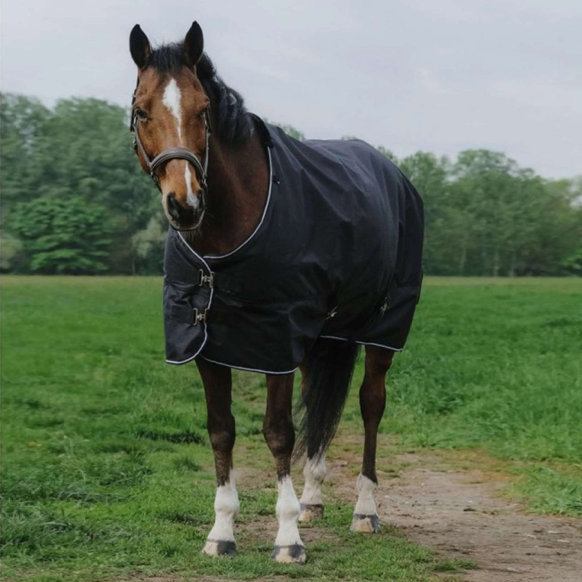 EQUITHÈME Outdoordeken Tyrex 600D Standard 150g Zwart