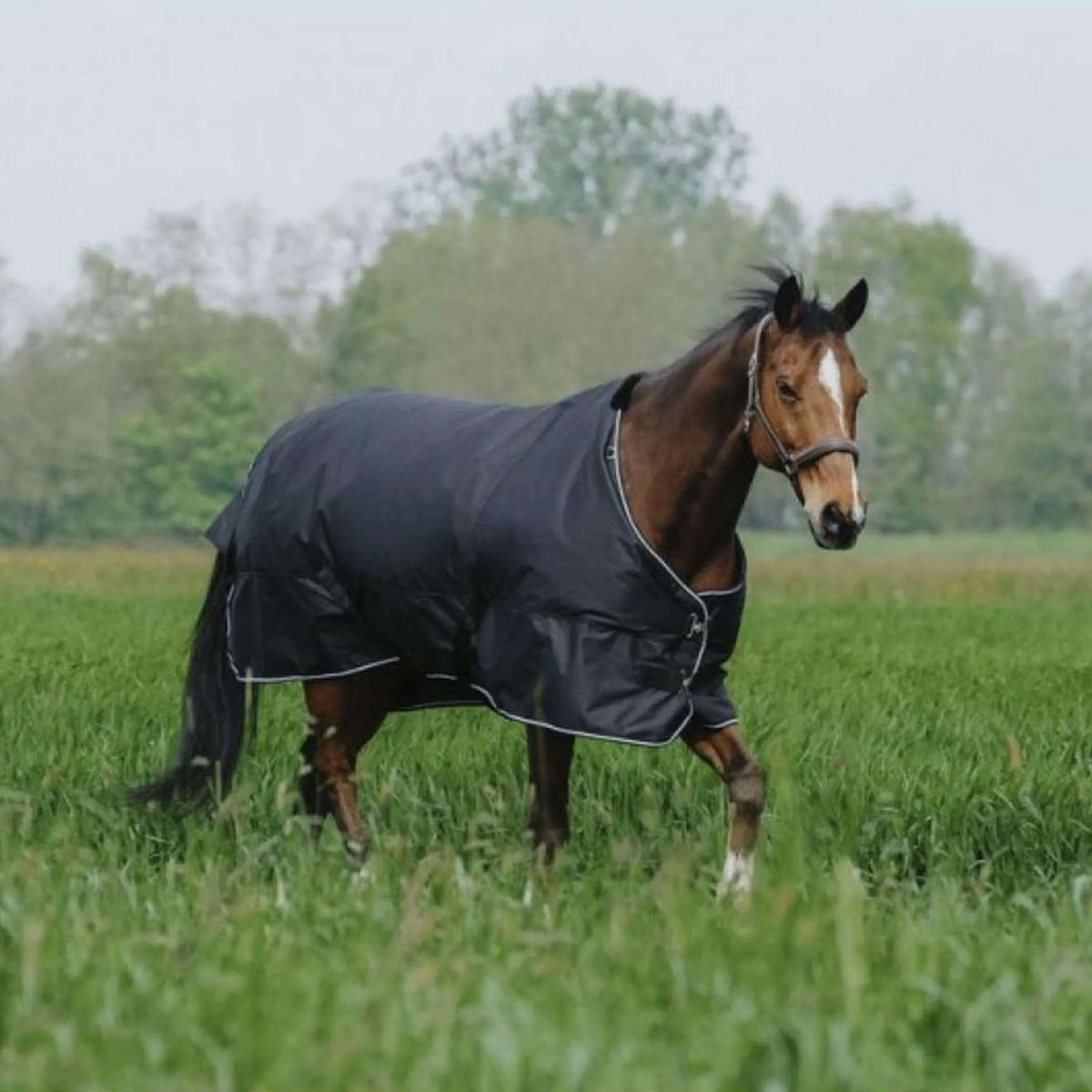 EQUITHÈME Outdoordeken Tyrex 600D Standard 150g Zwart