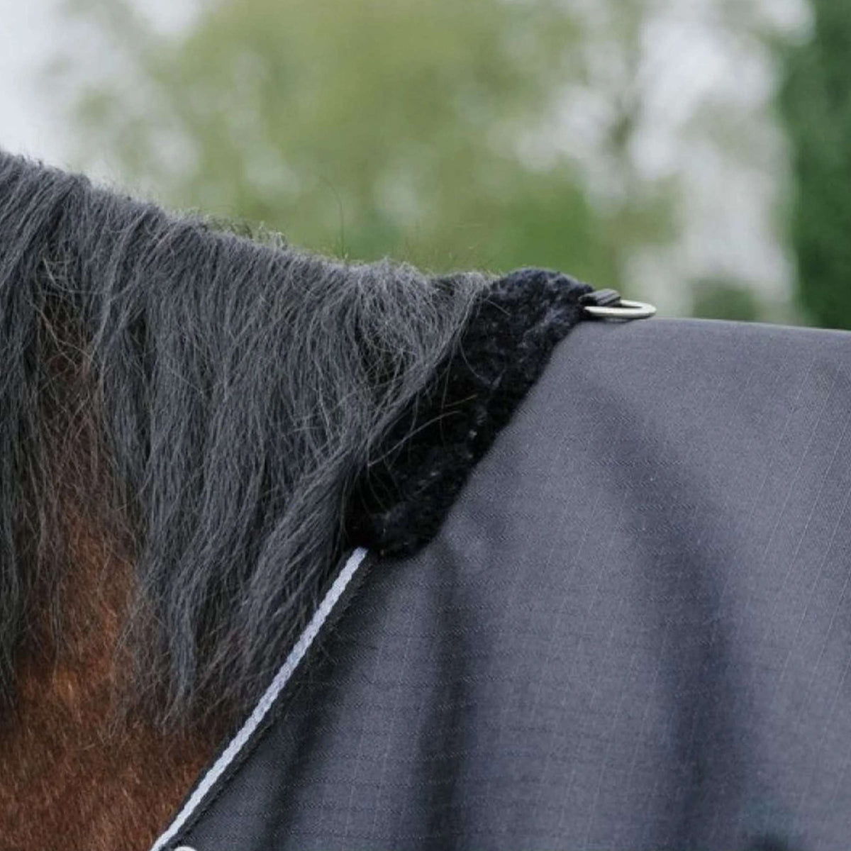 EQUITHÈME Outdoordeken Tyrex 600D Standard 150g Zwart