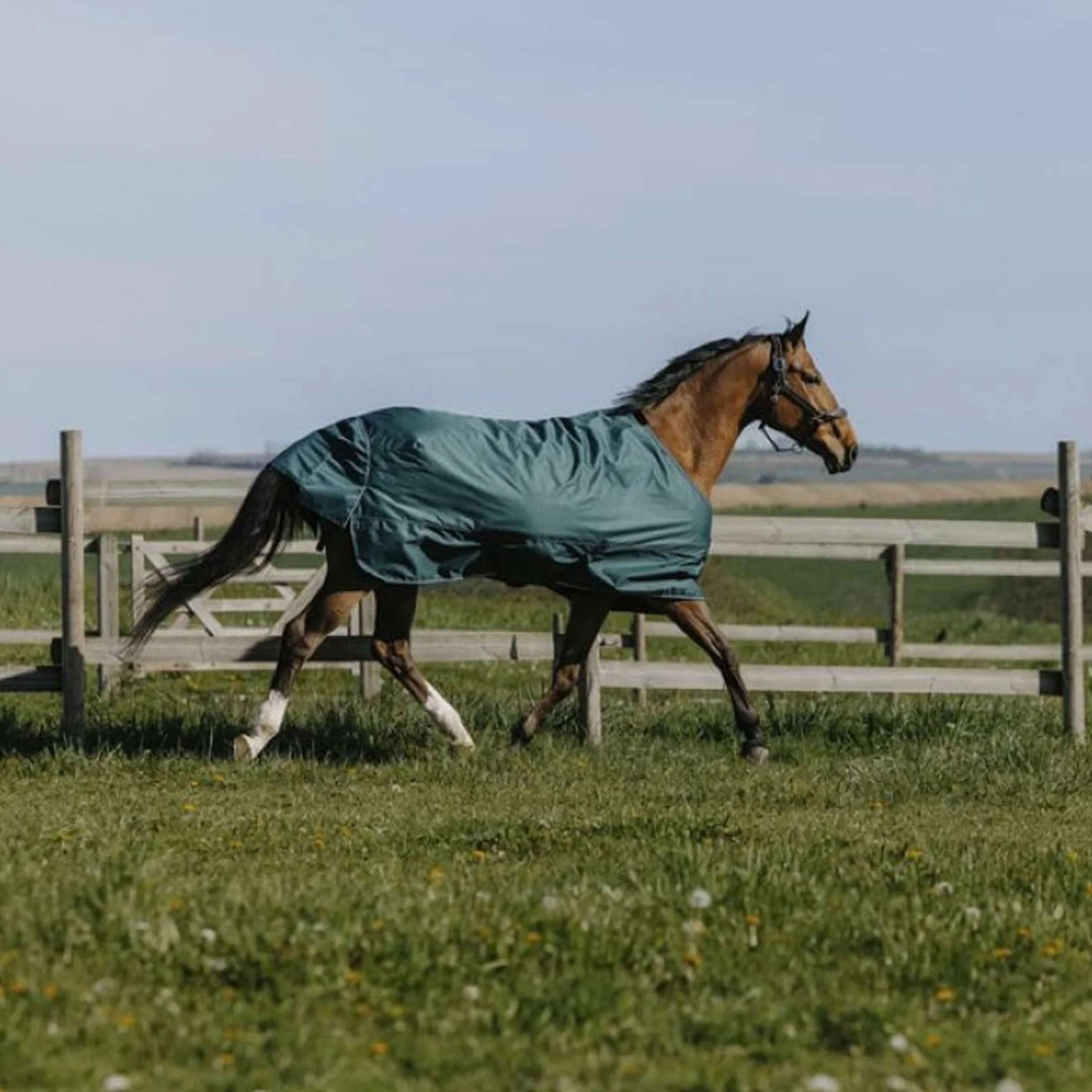 EQUITHÈME Outdoordeken Tyrex 600D Standard 150g Groen