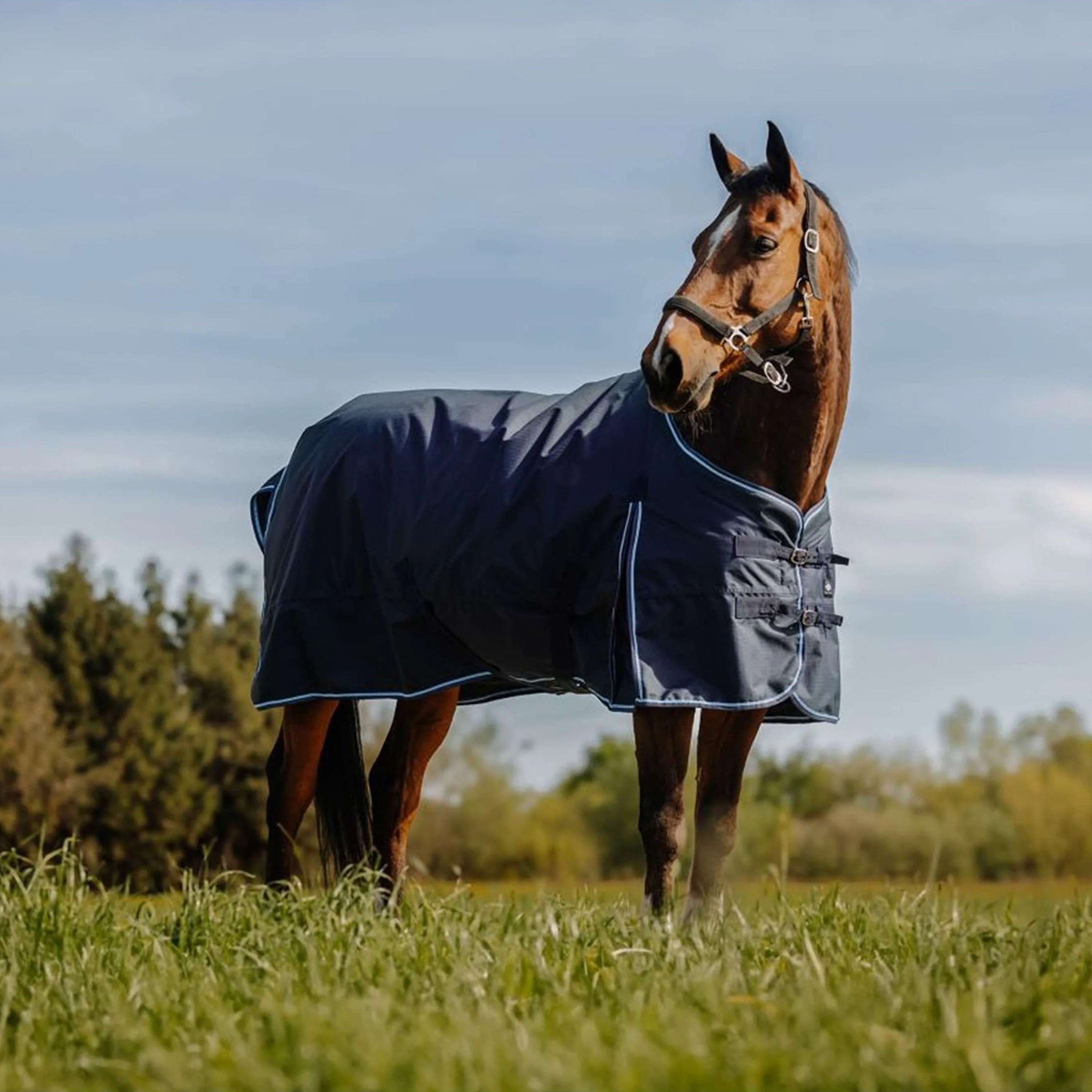 Riding World Outdoordeken Eco 600D 0g Navy