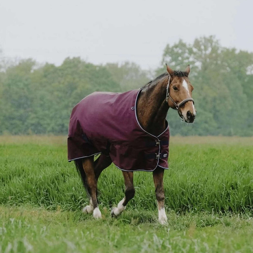 EQUITHÈME Outdoordeken Tyrex 1200D 0g Standard Burgundy