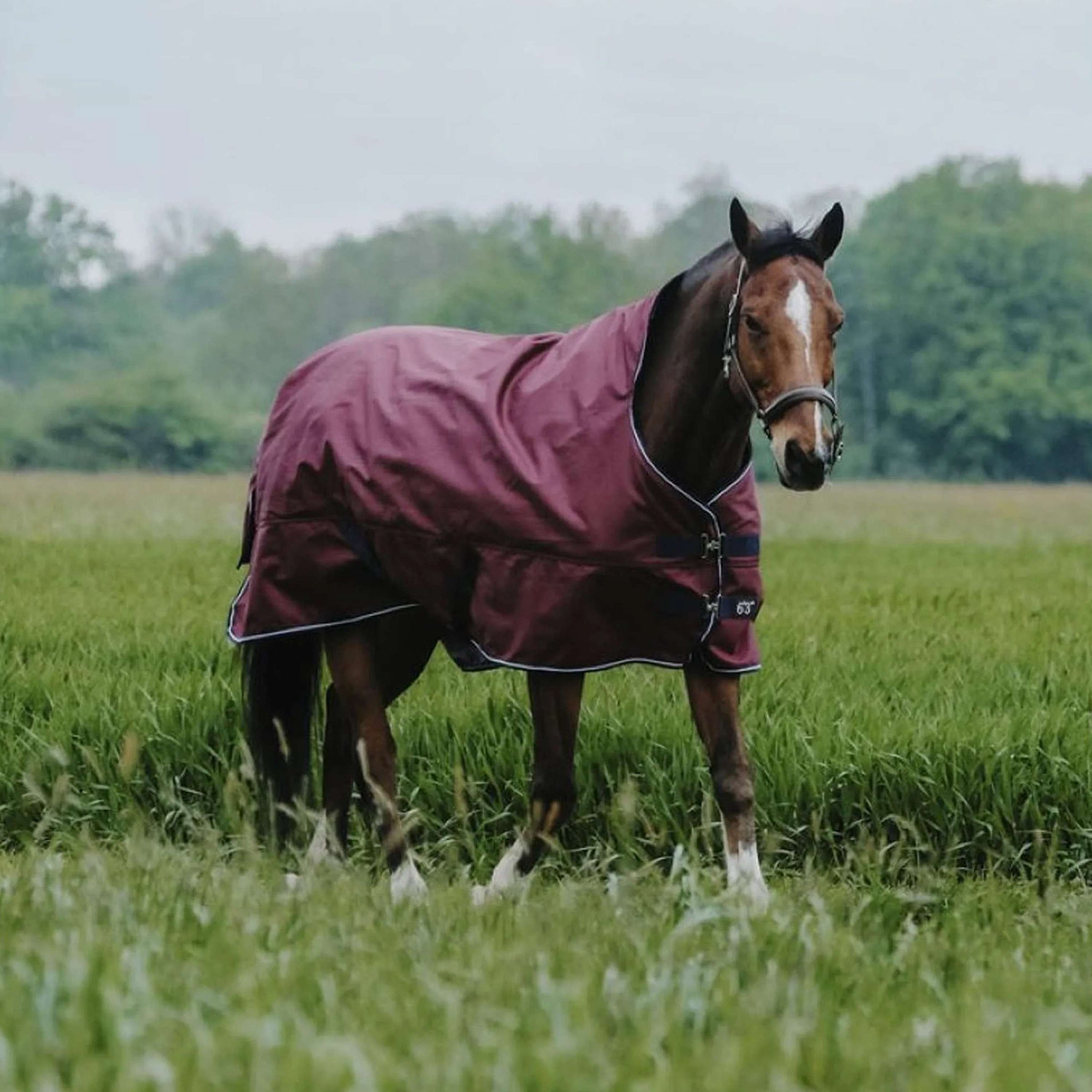 EQUITHÈME Outdoordeken Tyrex 1200D 0g High Neck Burgundy