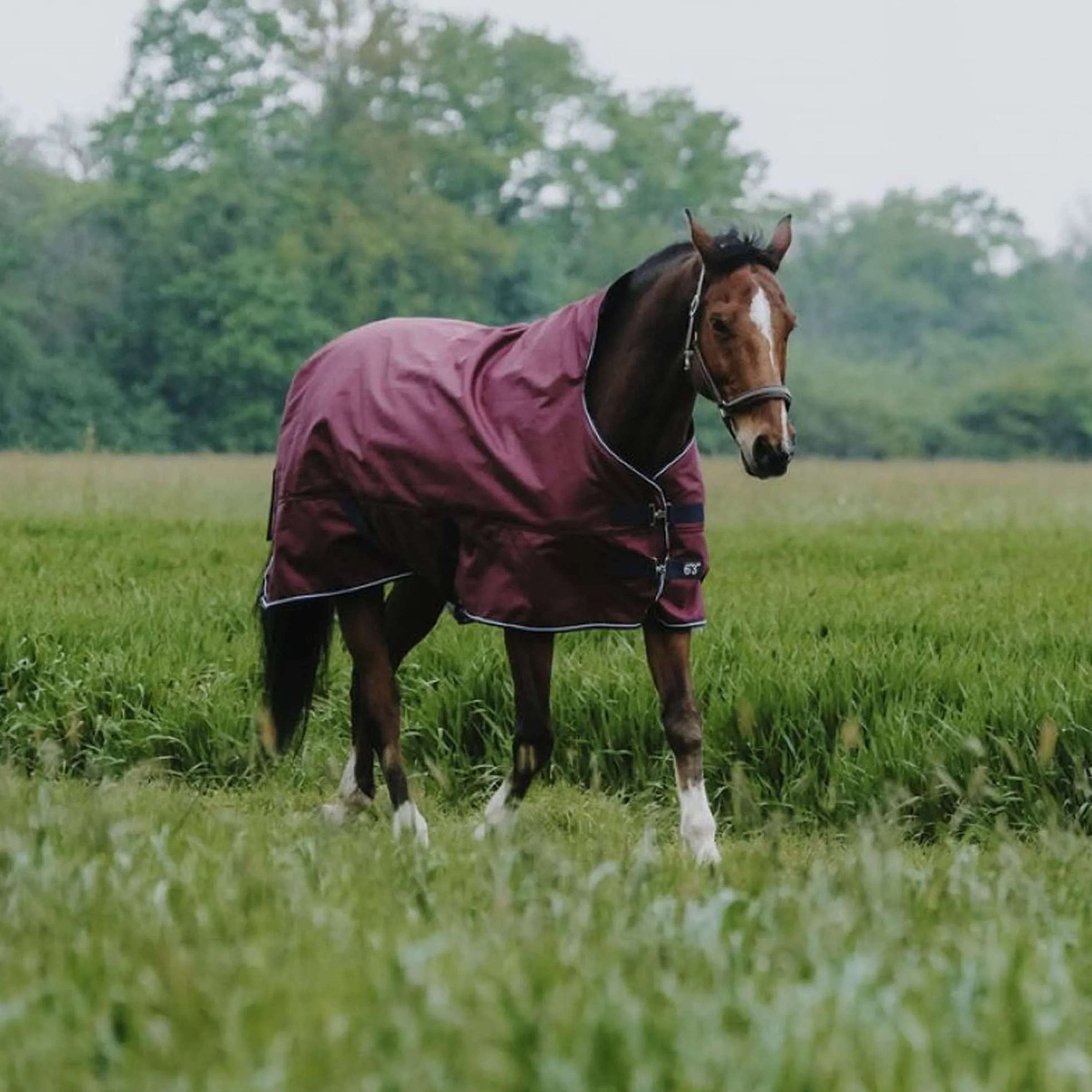 EQUITHÈME Outdoordeken Tyrex 1200D 0g High Neck Burgundy
