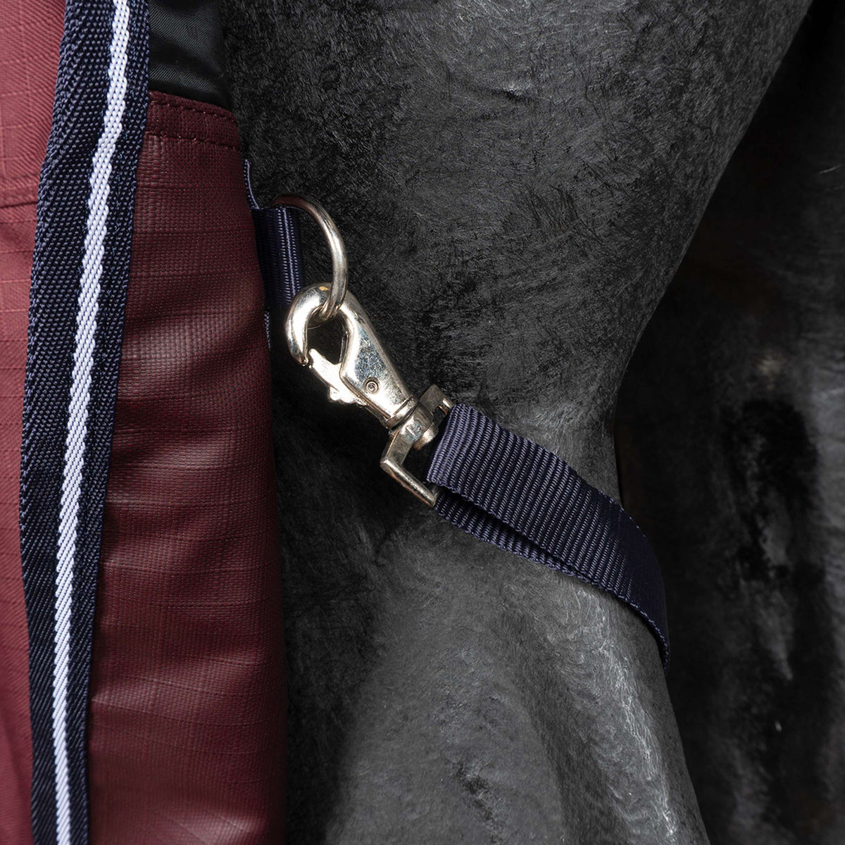 EQUITHÈME Outdoordeken Tyrex 1200D 0g High Neck Burgundy