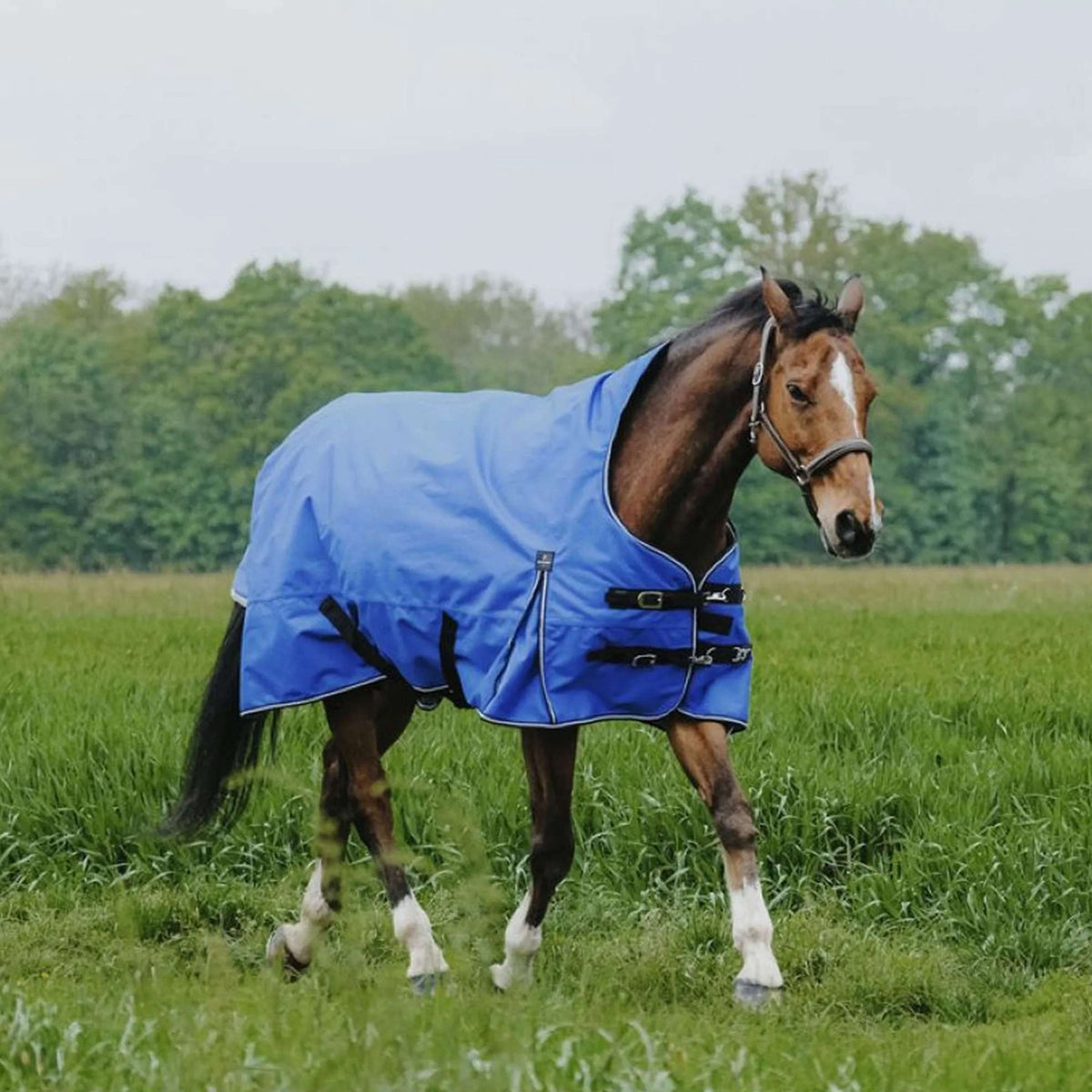 EQUITHÈME Outdoordeken Tyrex 1200D 0g Aisance High Neck Royal Blue