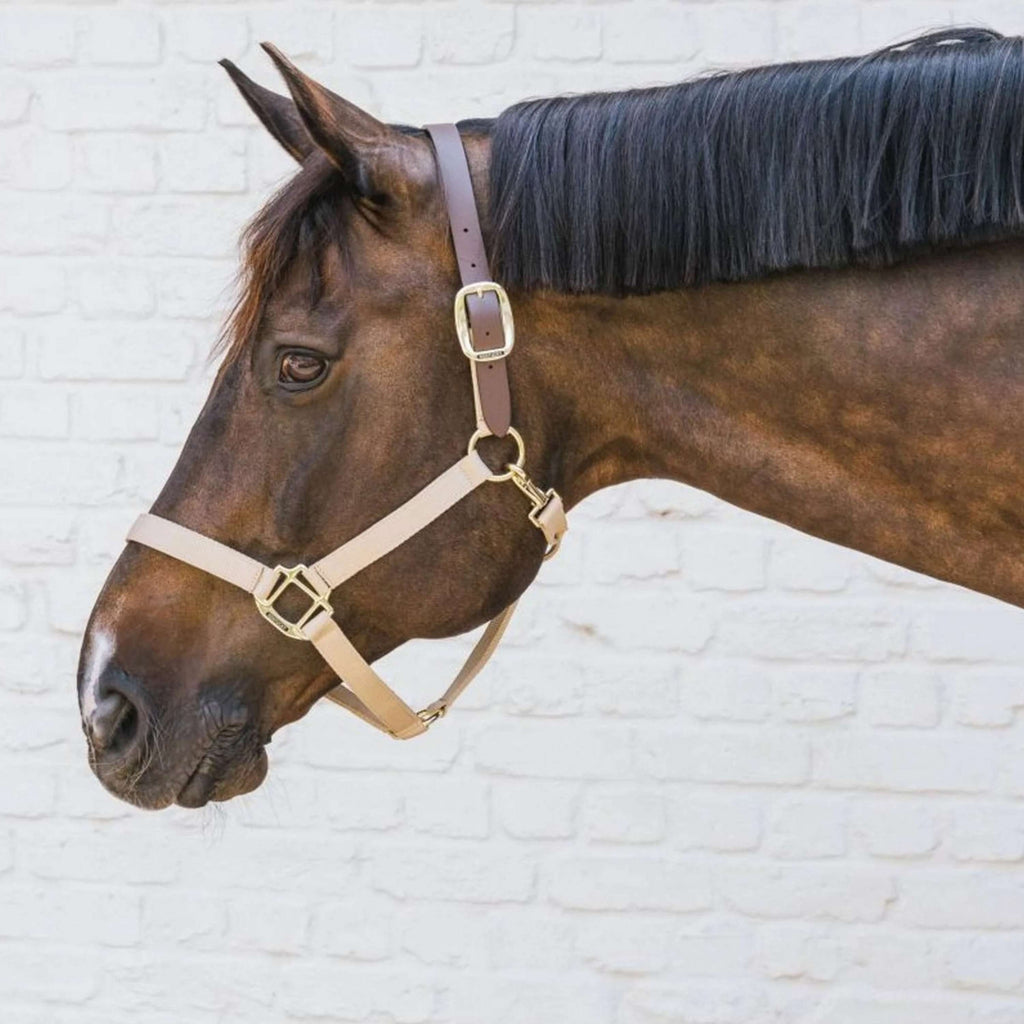 Kentucky Halster Nylon Breakaway Nek stuk Bruin